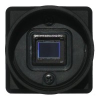 UXGA (1600 x 1200), cased, Mini USB 2.0 B/W camera, C-mount